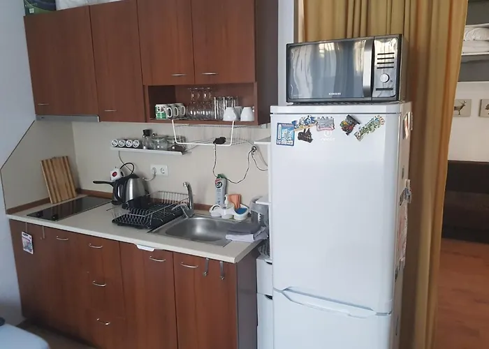 Gondola Ena 公寓 *