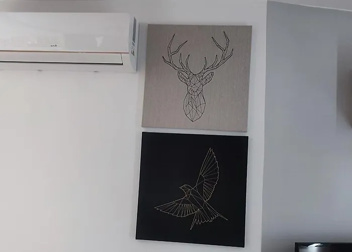 Gondola Ena 公寓 *